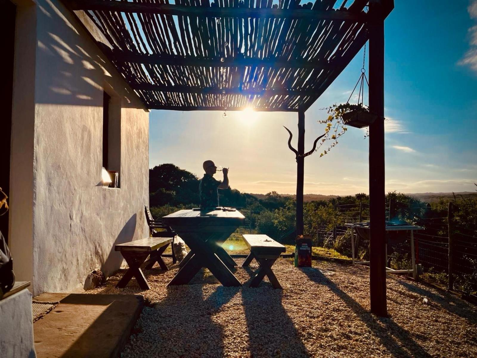 Ostrich Cottage At Les Wings Private Game Farm Groot-Jongensfontein Ngoại thất bức ảnh